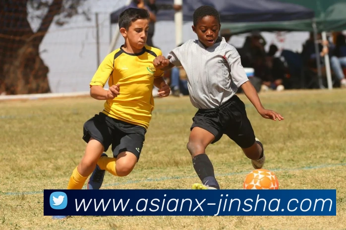 金沙娱乐城平台生态图